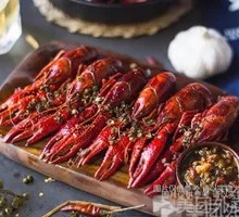 Exploring Shrimp Trace Crawfish