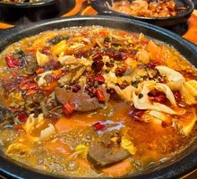 Chongqing Maoxuewang