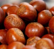 Candied Chestnuts