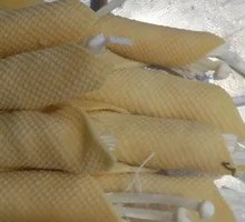 Tofu Skin with Enoki Mushrooms