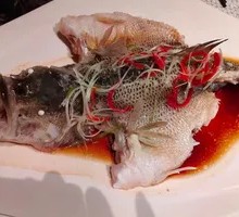Steamed Sea Bass