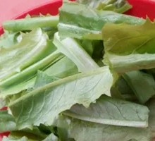Oilseed lettuce