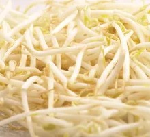Bean sprouts