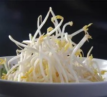 Bean sprouts