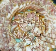 Korean Pork Head Meat
