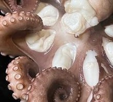 Boiled Octopus