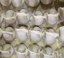 西胡鸡蛋