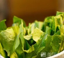 Oilseed lettuce
