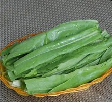 Oilseed lettuce