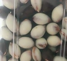 Yogurt Almond