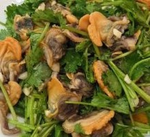 Mixed Razor Clams