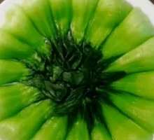  Shanghai Green