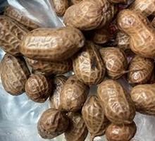 Boiled Peanuts