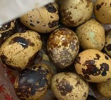 Boiled Quail Eggs