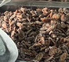 Apricot Meat