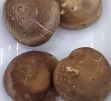 Shiitake Mushroom