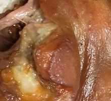 Pork head meat