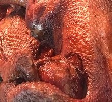 Smoked Chicken Feet