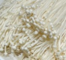 Enoki Mushroom