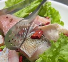 Fish Cubes