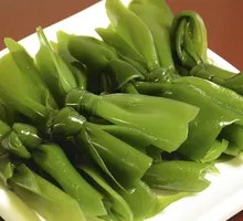 Kelp