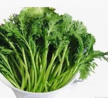 Chinese chrysanthemum greens