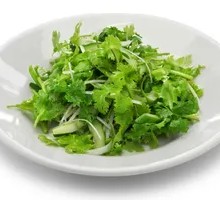 Cilantro