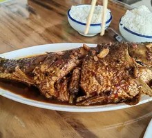 Reservoir Fish