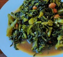 Wild Mountain Vegetables