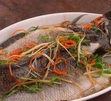 Steamed Black Fish