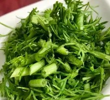 Mixed Wild Greens Salad