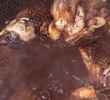 Special Stewed Fish Head