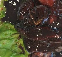 Braised Pork Elbow