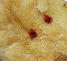 Red Date Paste Flatbread