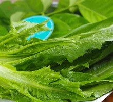 Oilseed lettuce