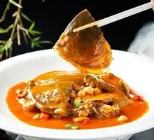 Hanshou Softshell Turtle