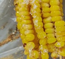 Corn Kernels