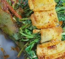 Tofu Skin with Cilantro