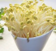 Bean sprouts