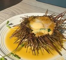 Sea Urchin
