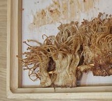 Bacon and Enoki Mushrooms