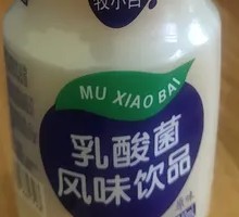 乳酸菌风味饮品