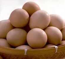 Raw Egg Nutrition Check-in