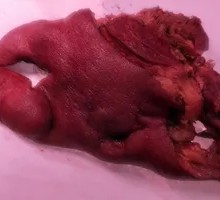 Traditional Braised Pork Head Meat