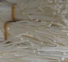 Enoki Mushroom