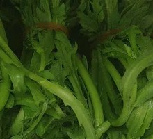 Chinese chrysanthemum greens