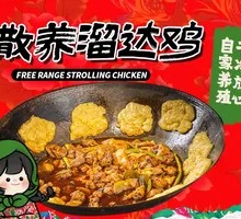 Free-range Chicken