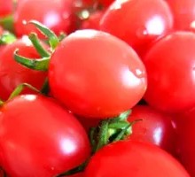 Millennium Tomato Salad