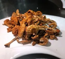 Wild Mushrooms