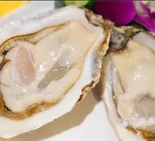 New Zealand Oyster